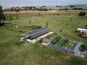 Wild Rose Emu Ranch goes Solar